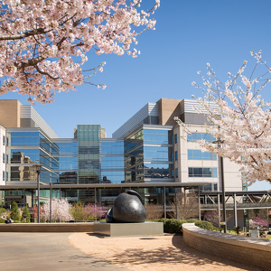 Fundraising Page: Jordan Hunt